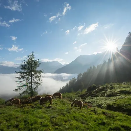 アパート Maurer *